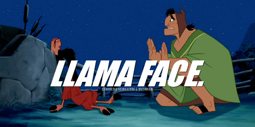 Llama Face.gif