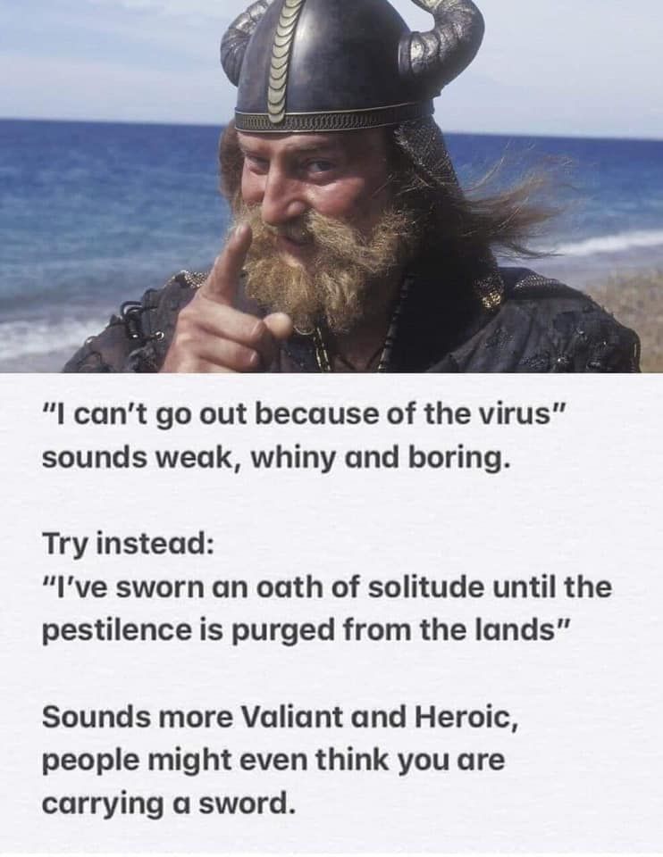 Viking Virus.jpg