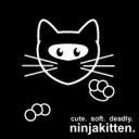 Ninjakitten